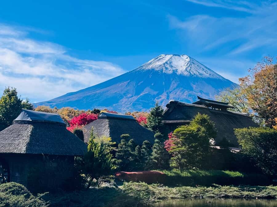 Mount Fuji Private Day Tour From Tokyo (Customizable) - Transportation and Comfort