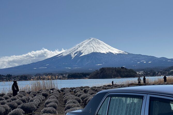 Mount Fuji Private Tour  Discover Magic of Japans Iconic Mount - Analyzing the Value: Is It Worth the Price?