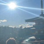 Mount Fuji Sightseeing tour with English speaking guide - Who Should Consider This Tour?