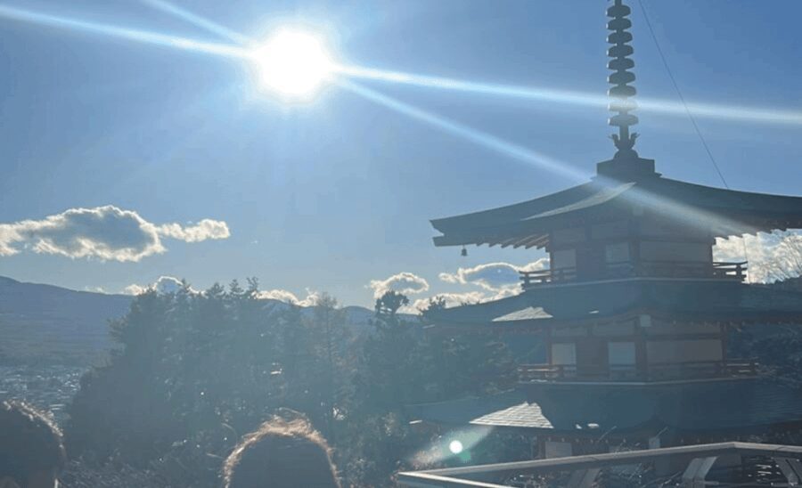 Mount Fuji Sightseeing tour with English speaking guide - Who Should Consider This Tour?