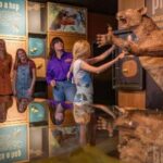 Mount Isa: Riversleigh Fossil Discovery Centre Guided Tour - What to Expect During Your Visit