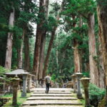 Mount Koya from Osaka: Cultural Small Group Day Tour - How the Logistics Enhance the Experience
