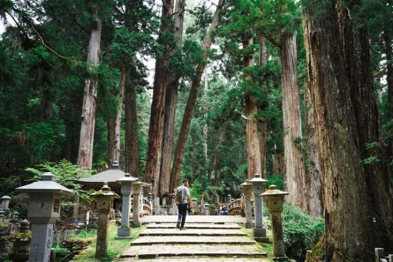 Mount Koya from Osaka: Cultural Small Group Day Tour - How the Logistics Enhance the Experience