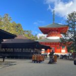 Mount Koya: Full-Day Private Guided Tour from Osaka - Who Will Love This Tour?