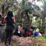 Mount Liamuiga Volcano Hike St Kitts Highest peak - The Sum Up