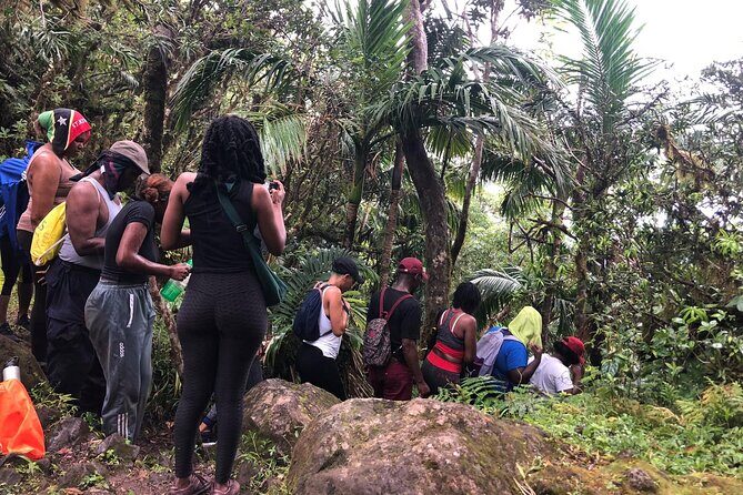 Mount Liamuiga Volcano Hike St Kitts Highest peak - The Sum Up