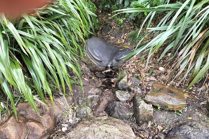 Mount Maunganui Hkoi Walking Tour - Frequently Asked Questions