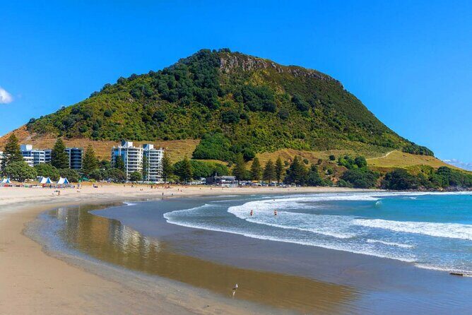 Mount Maunganui, Tauranga Day Tour from Auckland - Practical Details & What to Expect