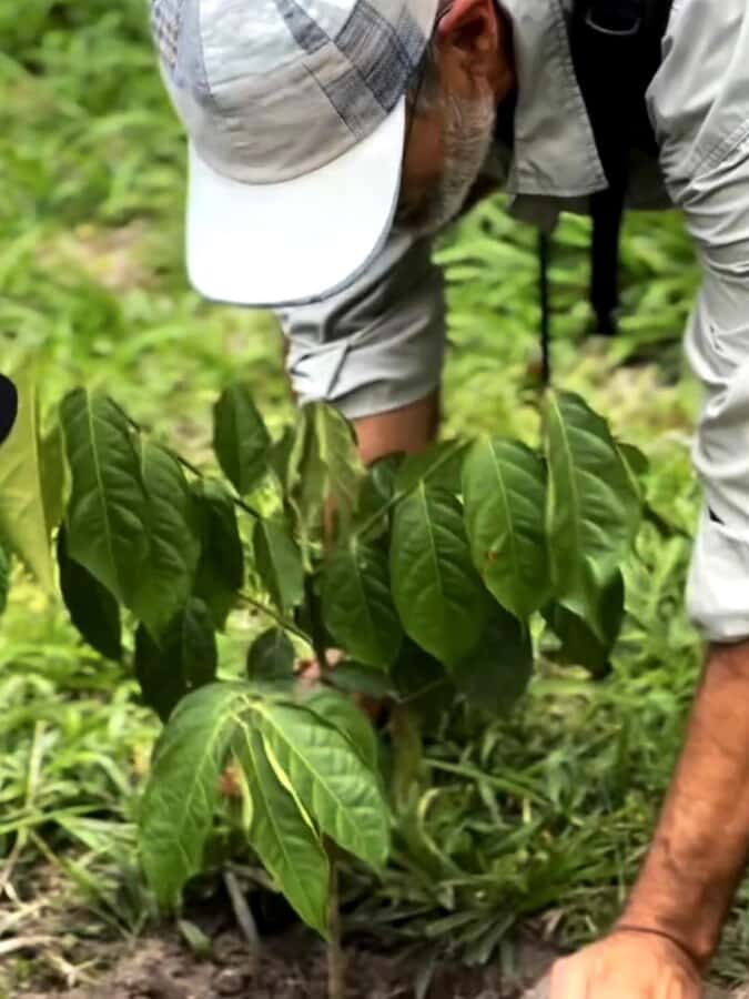 Mount Merapi Soft Trekking With Forest Conservation Tour - Evaluating the Value and Practical Aspects