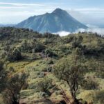 Mount Merbabu Edelweiss & Savanna Views tour from Yogyakarta - Trekking Through the Landscape