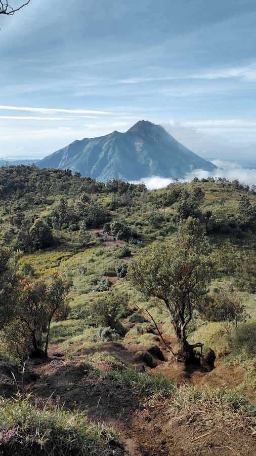 Mount Merbabu Edelweiss & Savanna Views tour from Yogyakarta - Trekking Through the Landscape