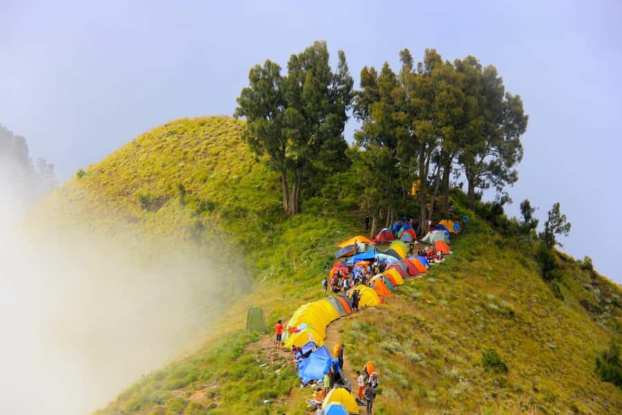 Mount Rinjani: 2D/1N Trekking To Sembalun Or Senaru Views - The Logistics and Practicalities