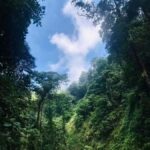 Mount Rinjani 2day and 1night Via Senaru Crater Rim - The Trek Begins: Day 1