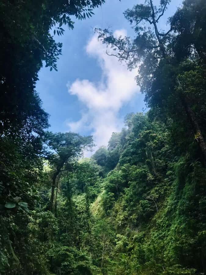 Mount Rinjani 2day and 1night Via Senaru Crater Rim - The Trek Begins: Day 1