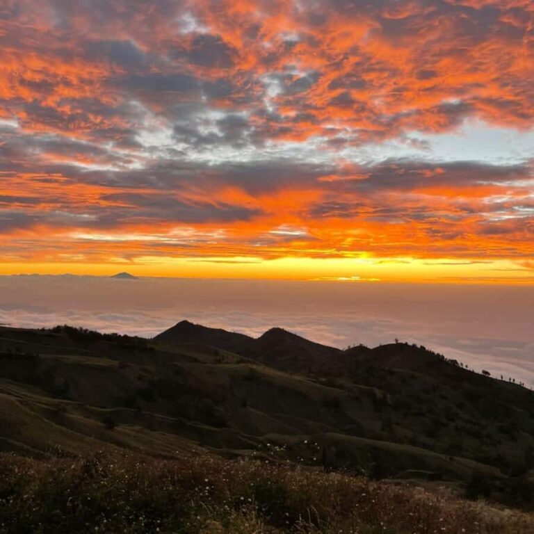 Mount Rinjani Hike Summit 1-Day Trekking Tour - A Detailed Look at the Mount Rinjani One-Day Trek