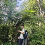 Mount Rinjani One Days trek via Senaru Crater rim - What to Expect from the Mount Rinjani One Day Trek