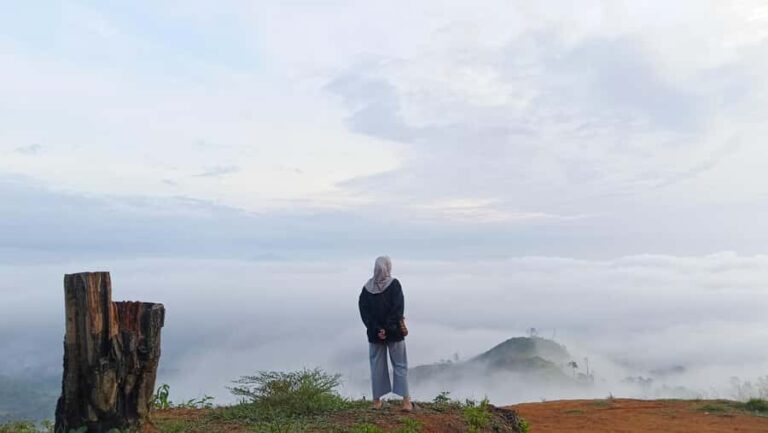 Mount Sago: Summit Zen & Palm Sugar Tour" - An In-Depth Look at the Mount Sago Experience