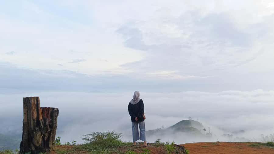 Mount Sago: Summit Zen & Palm Sugar Tour" - An In-Depth Look at the Mount Sago Experience