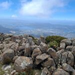 Mount Wellington Shore Excursion - Why This Tour Offers Good Value
