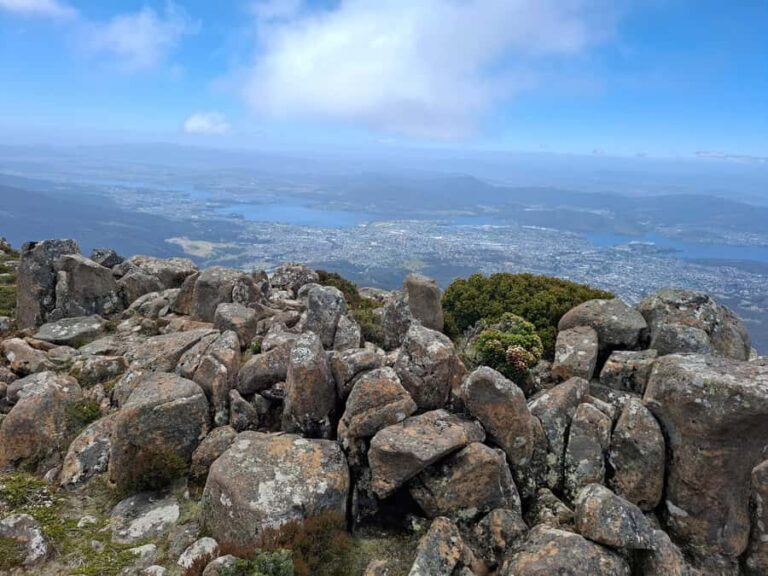 Mount Wellington Shore Excursion - Why This Tour Offers Good Value