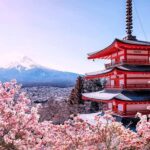 MountFuji Private Sightseeing Tour with Guide & Hotel Pickup - The Real Value of This Tour