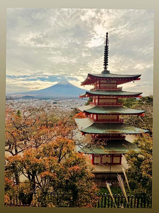 MountFuji Private Sightseeing Tour with Guide & Hotel Pickup - What Travelers Can Expect: Pros and Cons