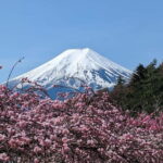 Mt. Fuji: 1-Day Private Tour from Tokyo with Certified Guide - Who Is This Tour Best For?