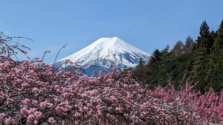 Mt. Fuji: 1-Day Private Tour from Tokyo with Certified Guide - Who Is This Tour Best For?  