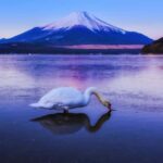 Mt. Fuji 6 Iconic Photo Spots Day Tour from Tokyo - An In-Depth Look at the Tour Itinerary and Its Appeal