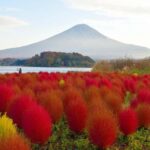 Mt. Fuji 6 Iconic Photo Spots Day Tour from Tokyo - Mid-Morning: Exploring Hikawa Clock Shop Street