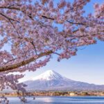 Mt.Fuji 6 Must-See Spots: Oshino& Lake Kawaguchi From Tokyo - The Itinerary in Detail