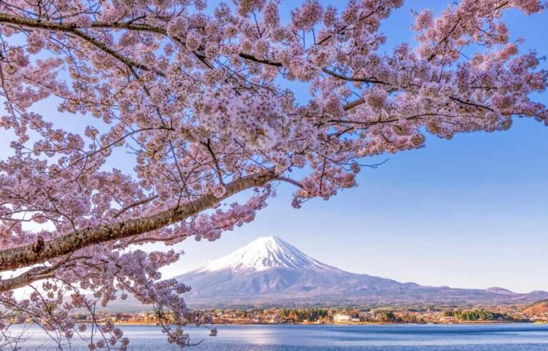 Mt.Fuji 6 Must-See Spots: Oshino& Lake Kawaguchi From Tokyo - The Itinerary in Detail