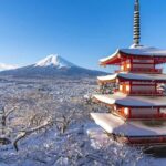 Mt. Fuji 6 Scenic Day Tour: Kawaguchiko & Lake Yamanaka - The Practicalities: What to Know