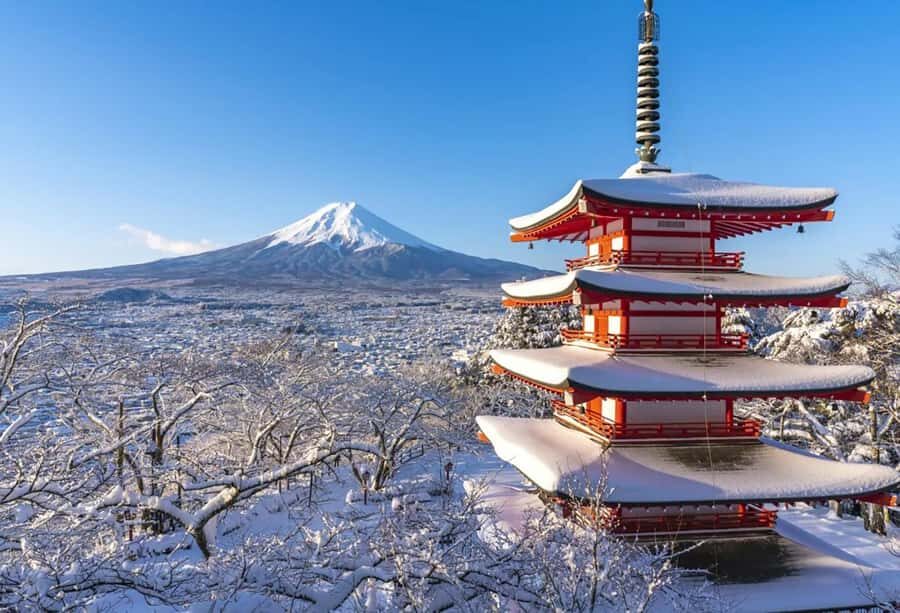 Mt. Fuji 6 Scenic Day Tour: Kawaguchiko & Lake Yamanaka - What It Means for You