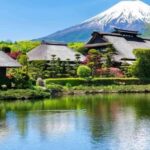 Mt.FUji and Cherry Blossom Full Day Trip with English Driver - In-Depth Look at the Experience