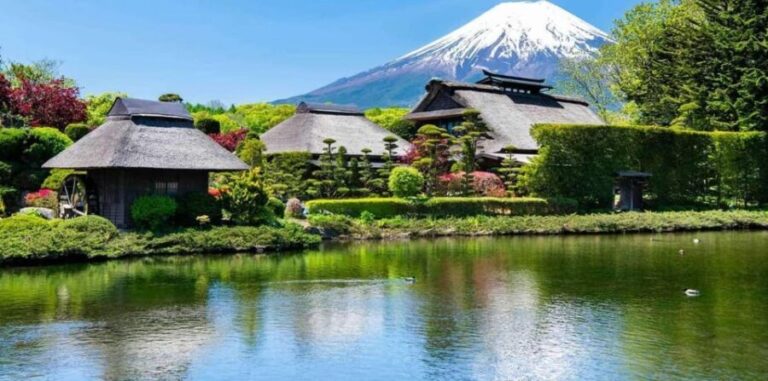 Mt.FUji and Cherry Blossom Full Day Trip with English Driver - In-Depth Look at the Experience