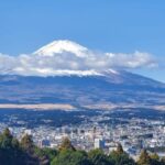Mt Fuji and Hakone Private Tour With English Speaking Driver - The Itinerary in Detail