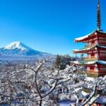 Mt Fuji and Lake Kawaguchi 1-Day Luxury Bus Tour From Tokyo - Exploring the Itinerary in Depth