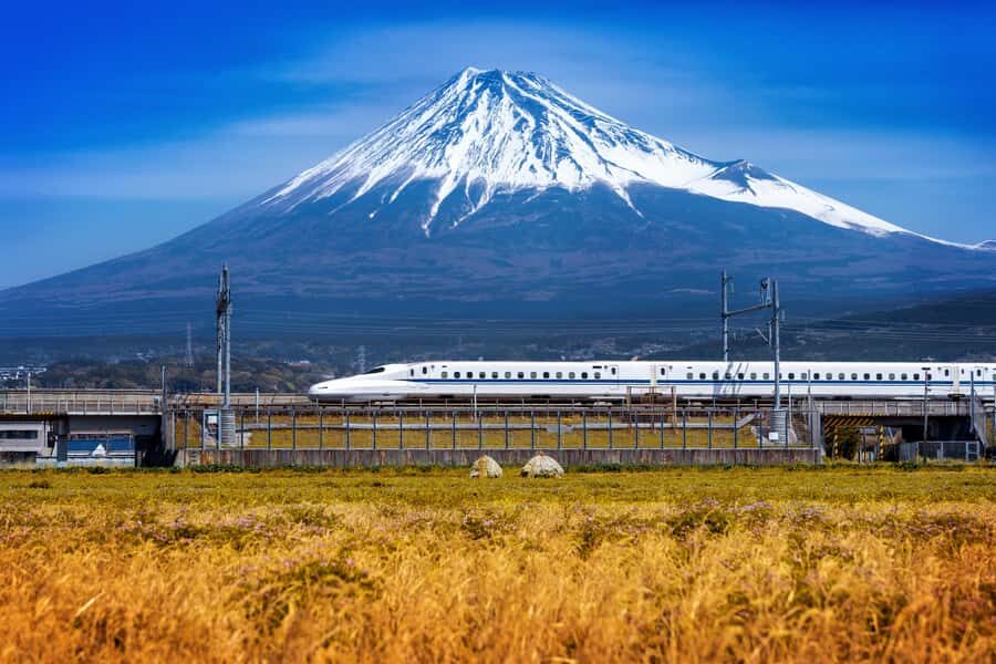 Mt Fuji and Lake Kawaguchi Day Tour With English Driver - In-Depth Look at the Itinerary and Experiences