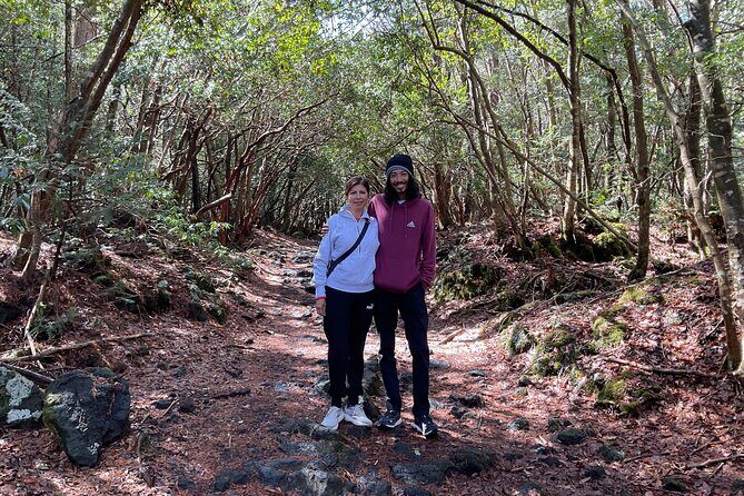 Mt. Fuji Aokigahara Forest Tour with Licensed Guide and Vehicle - What Travelers Can Expect and What’s Not Included