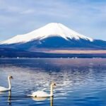 Mt Fuji Carpool Day Tour for 5 to 9 Tourists - FAQ