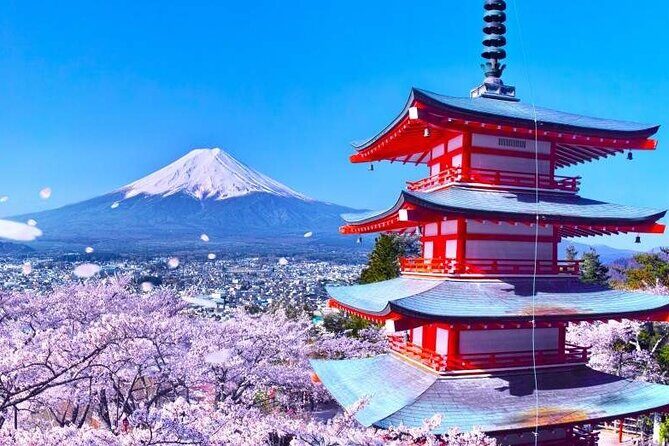 Mt. Fuji Day Trip Arakurayama Sengen and Instagrammable Lawson - Who Will Love This Tour?