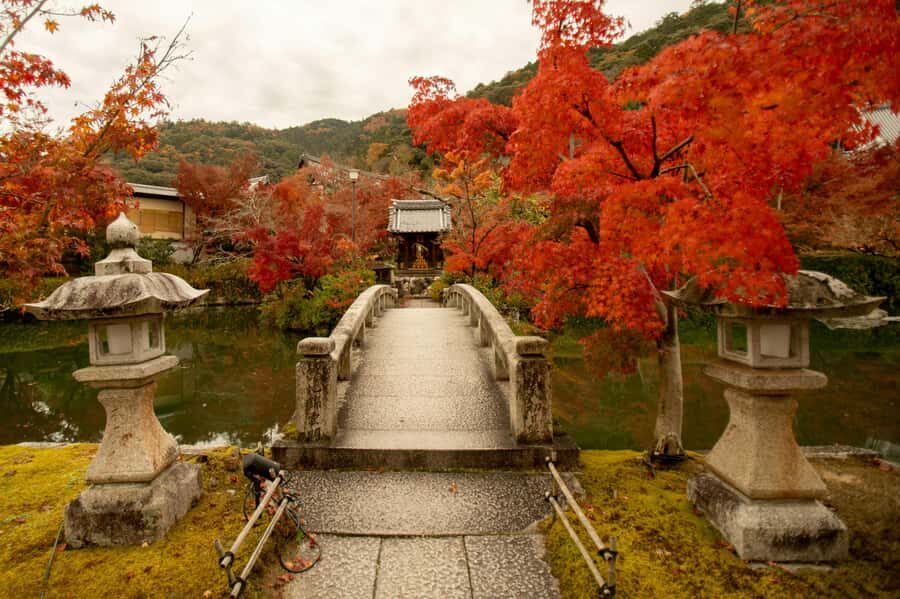 Mt. Fuji, Hakone, Nikko & Nagano Private Tour from Tokyo - Day 2: Discover Hakone’s Natural Wonders