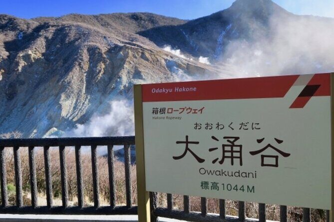 Mt. Fuji, Hakone Pirate Ship, Owakudani Ropeway, Gotemba Outlets - Practical Details and Considerations