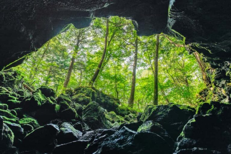 Mt Fuji Hidden Gems with Local Expert Guide - An In-Depth Look at the Itinerary and Experience