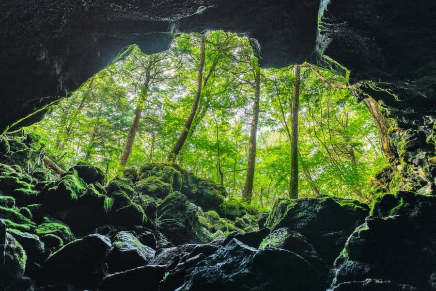 Mt Fuji Hidden Gems with Local Expert Guide - An In-Depth Look at the Itinerary and Experience