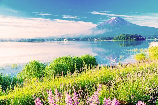 Mt. Fuji in Comfort: Private Ride Premium Service - An In-Depth Look at the Mt. Fuji Private Tour