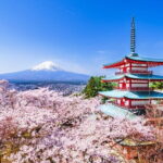 Mt Fuji /Kawaguchi customize private charter car - Final Thoughts: Who Should Consider This Tour?