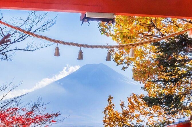 Mt. Fuji Oshino Hakkai and Gotemba Outlets Tour - Who Is This Tour Best For?