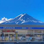 Mt. Fuji Panoramic Ropeway, Oshino Hakkai & Sightseeing Day Tour - Who Should Book This Tour?